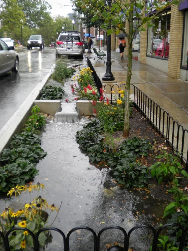 Jardim de chuva (rain garden). Fonte: State College Pennsylvania