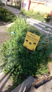 Jardim de chuva na rua das Uvaias (Saúde): calêndulas (malmequer), fórmios, cana-do-brejo e outras plantas típicas de terras alagadas. Foto: ViniRoger