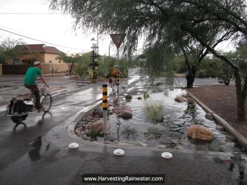 Jardim de chuva em Tulsa. Fonte: Rainwater Harvesting