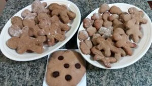 Biscoitos de gengibre da receita. Foto: ViniRoger