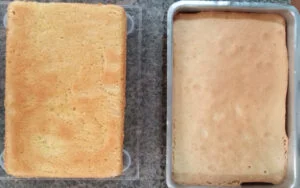 Duas camadas de pão de ló feitas com a receita do post. Foto: ViniRoger