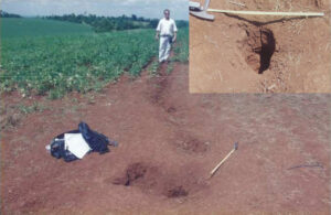 Crateras com fratura principal, com cratera principal em destaque. Fotos: Paulo R. Martini