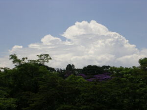 Cumulus congestus no Parque Cientec em São Paulo/SP (jan 2007) - Nikon E3200 1/1155s ISO50 13,0mm. Foto: ViniRoger