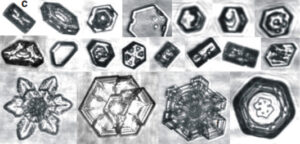 Fotos de cristais de gelo em forma de placas e colunas observados em nuvens - formatos irregulares são regra. Fonte: Bailey & Hallet (2021)