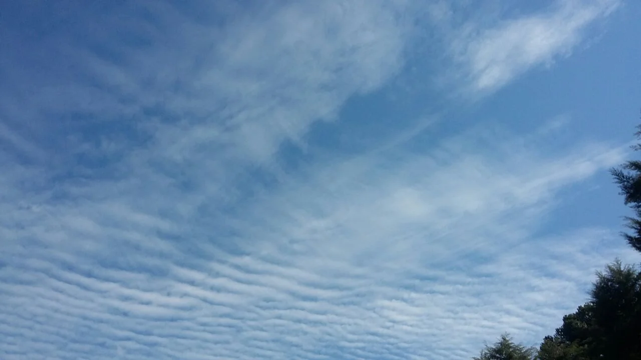 Cirrocumulus stratiformis undulatus. Foto: ViniRoger