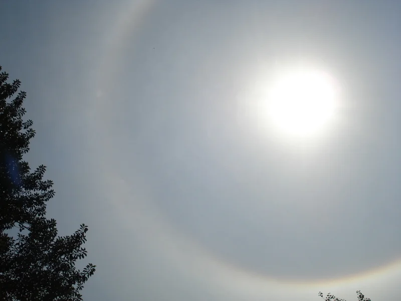 Cirrostratus nebulosus. Foto: ViniRoger