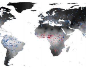Distribuição de línguas com tom complexo (pontos vermelhos) e sem tom complexo (pontos azuis) - sombreamento mais escuro no mapa corresponde a valores mais baixos deumidade do ar. Fonte: Everett et al. (2015)