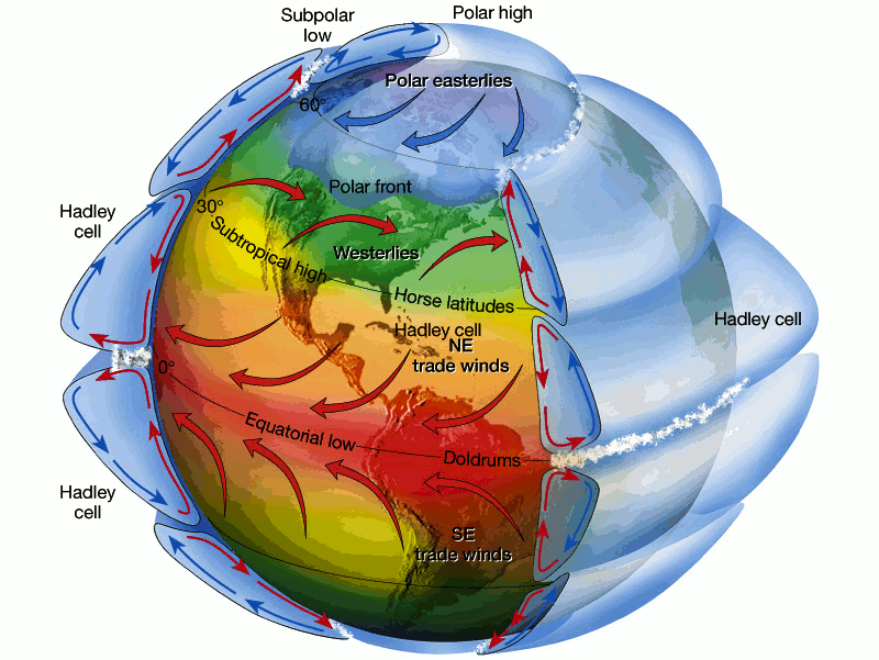 Esquema de circulação global: na célula de Hadley (Hadley cell), os ventos alísios (trade winds, setas vermelhas) sopram de SE (sudeste) e NE (nordeste) em superfície e formam uma região aquecida de baixa pressão atmosférica no equador (Equatorial low), formando nuvens e chuva e descendo mais frios e secos (setas azuis) em regiões mais distantes ao norte e ao sul. Fonte: MASTER - IAG/USP