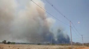 Um dos vários focos de incêndio em Bom Jesus da Lapa (20/09/2021). Foto: Evandro Batista Rodrigues Pereira