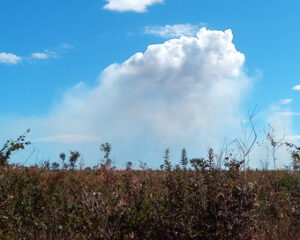 Nuvem formada diretamente acima da fumaça gerada por queimada no Tocantins (junho de 2019). Foto: ViniRoger