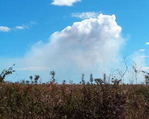 Nuvem formada diretamente acima da fumaça gerada por queimada no Tocantins (junho de 2019). Foto: ViniRoger