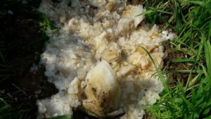 O pedaço de gelo azul que caiu na vila de Fazilpur Badli (norte da Índia). Foto: Guargaon Police