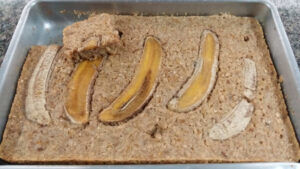 Bolo de banana, tapioca e aveia da receita. Foto: ViniRoger