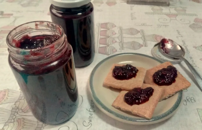 Geleia de jabuticaba da receita. Foto: ViniRoger