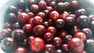 Um quilo de jabuticabas. Foto: ViniRoger