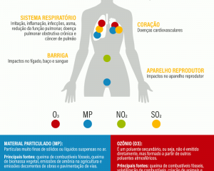 Produzido por WRI Brasil