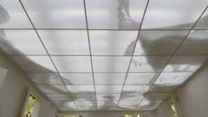 Continente/Nuvem, Rivane Neuenschwander. Foto: ViniRoger