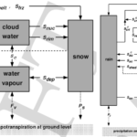 Esquema dos processo microfísicos considerando uma e duas categorias (esquerda e direita), envolvendo precipitação líquida (rain), vapor d'água (water vapour), água líquida de nuvem (cloud water), neve (snow) e água sólida de nuvem (cloud ice). Adaptado de Doms (2005).