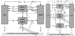 Esquema dos processo microfísicos considerando uma e duas categorias (esquerda e direita), envolvendo precipitação líquida (rain), vapor d'água (water vapour), água líquida de nuvem (cloud water), neve (snow) e água sólida de nuvem (cloud ice). Adaptado de Doms (2005).