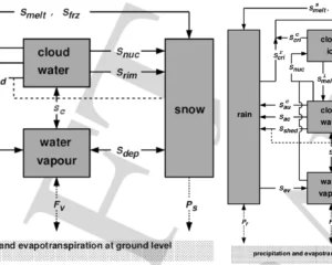 Esquema dos processo microfísicos considerando uma e duas categorias (esquerda e direita), envolvendo precipitação líquida (rain), vapor d'água (water vapour), água líquida de nuvem (cloud water), neve (snow) e água sólida de nuvem (cloud ice). Adaptado de Doms (2005).