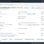 Tela do console da AWS da instância a ser acessada