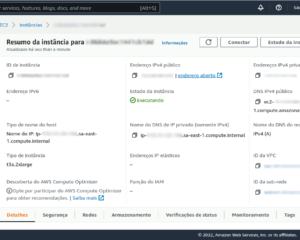 Tela do console da AWS da instância a ser acessada