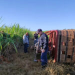 Bombeiros atendem ocorrência com balão tripulado às margens da rodovia Castello Branco, em Porto Feliz. Foto: Corpo de Bombeiros/Divulgação