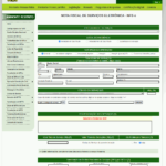 Tela de emissão de NFS-e no sistema do Nota do Milhão