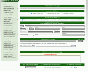 Tela de emissão de NFS-e no sistema do Nota do Milhão