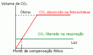 Fotossíntese: volume de gás carbônio versus iluminação. Fonte: Freitas (2005)