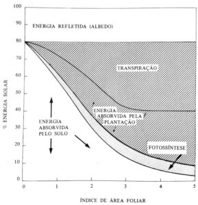 Distribuição da energia solar em um campo cultivado. Fonte: Mota (1983)