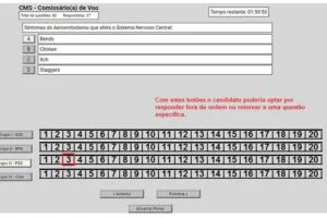 Montagem com layout da prova da ANAC no computador. Fonte: Wallace Oliveira