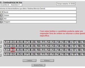 Montagem com layout da prova da ANAC no computador. Fonte: Wallace Oliveira