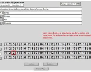 Montagem com layout da prova da ANAC no computador. Fonte: Wallace Oliveira