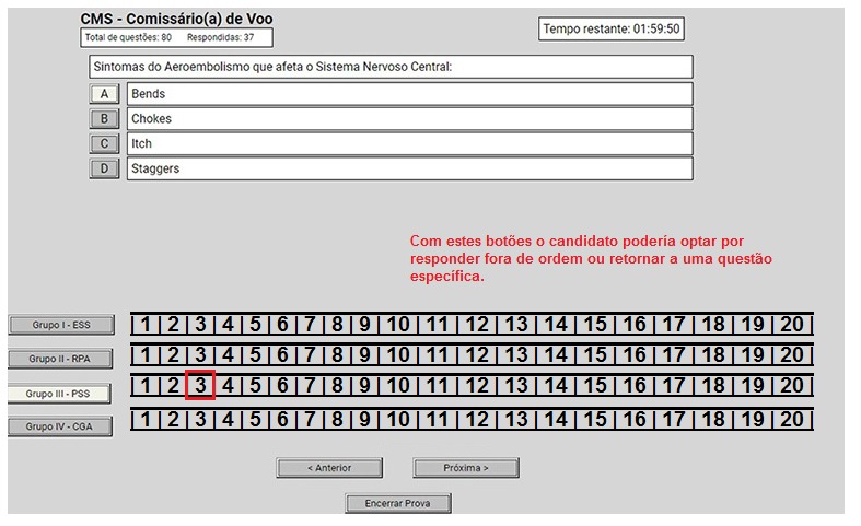 Montagem com layout da prova da ANAC no computador. Fonte: Wallace Oliveira
