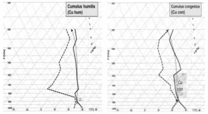 Perfis verticais com provável formação de nuvens cumulus humilis (esquerda) e cumulus congestus. Fonte: Fedorova, Pontes da Silva e Levit (2017).