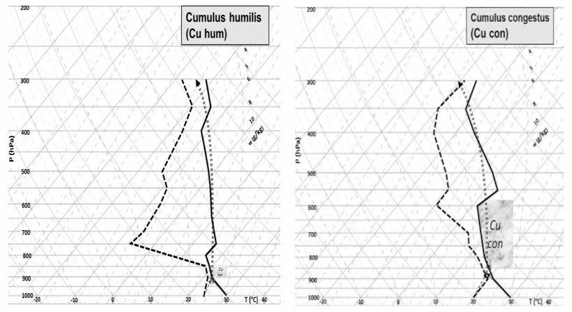 Perfis verticais com provável formação de nuvens cumulus humilis (esquerda) e cumulus congestus. Fonte: Fedorova, Pontes da Silva e Levit (2017).