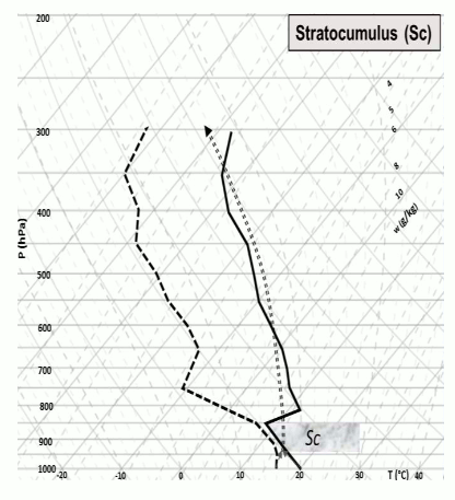 Perfil vertical com provável formação de nuvem stratocumulus formada em camada de alta umidade abaixo de inversão térmica entre 850 e 810 hPa, com camada de instabilidade logo acima. Fonte: Fedorova, Pontes da Silva e Levit (2017).