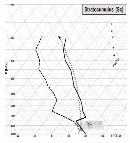 Perfil vertical com provável formação de nuvem stratocumulus formada em camada de alta umidade abaixo de inversão térmica entre 850 e 810 hPa, com camada de instabilidade logo acima. Fonte: Fedorova, Pontes da Silva e Levit (2017).