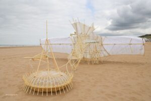 Ader with anchor, 2020. Foto: Strandbeest