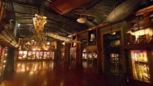 Gabinete de Curiosidades da Universidade de Coimbra. Foto: ViniRoger