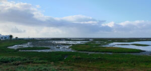 Parte da Ría Formosa vista a partir do Parque Ribeirinho de Faro, junto à estátua de homenagem à Atlântida e ao povo atlante. Foto: ViniRoger