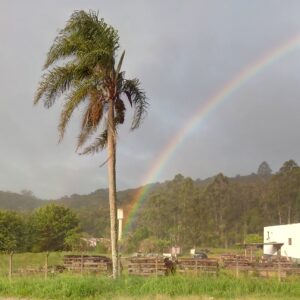 Arco-íris formado após a chuva em Mogi das Cruzes. Foto: ViniRoger