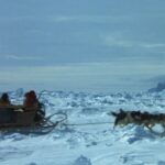 Cena do filme Antarctica (1983)