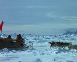 Cena do filme Antarctica (1983)