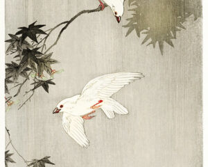 Birds in rain (1900-1936), de Ohara Koson (1877-1945). Fonte: Vintage Illustration (domínio público)