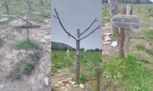 Túmulo desconhecido e túmulo de Arch Stanton, com árvore para prender corda para enforcar Tuco até Blondie acertar a corda com um tiro e deixá-lo cair. Fotos: ViniRoger