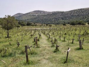 Vista geral do Sad Hill Cemetery. Foto: Eliana Reis