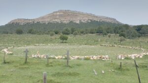 Vista do círculo central de Sad Hill Cemetery. Foto: ViniRoger