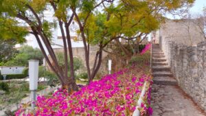 Castelo de Tavira com Torre do Relógio ao fundo. Foto: ViniRoger